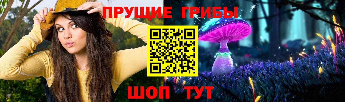 Галлюциногенные грибы прущие грибы Ангарск
